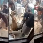 Viral video: Women publicly strip themselves after being caught shoplifting in Pakistan’s Faisalabad
