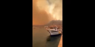 Understanding the Impact of the Rhodes Wildfire: A Comprehensive Overview