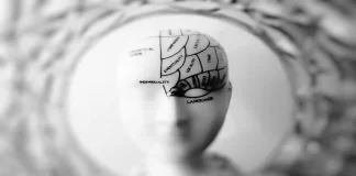 The Neuroplasticity Revolution: Unraveling the Adaptive Power of the Brain