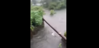 Maharashtra: 4-month-old baby slips from father’s hand, drowns in nullah rescued by NDRF Team