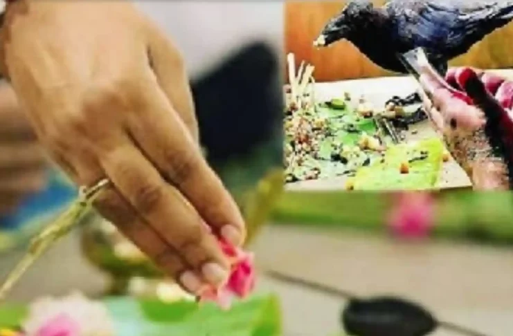 Pitru Paksha 2023: Dates, Shradh Ritual, and Ancestral Prayers
