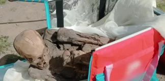800 years old Mummified Corpse Found in Food Delivery Bag in Peru 800 years old Mummified Corpse Found in Food Delivery Bag in Peru