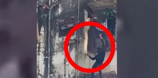 Jaw-Dropping Rescue: Two Heroes Save Enormous Snake in Thane, Maharastra