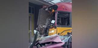 1 dead, 12 injured after crash sends Metro bus into Seattle building