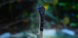 MEAT AND CANCER RISK, A WAKE-UP CALL